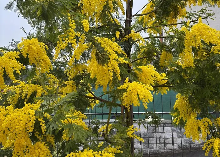 Apartment La Casa Di Gio' Maggiore *